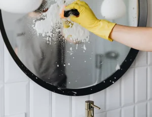 organic cleaning services in Dubai